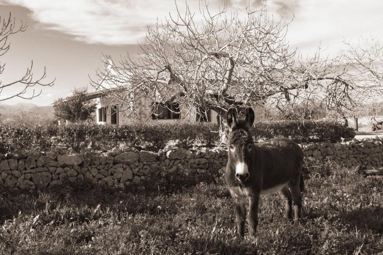 155 Finca Son Rossignol By Mallorca Charme Sineu  Dış mekan fotoğraf