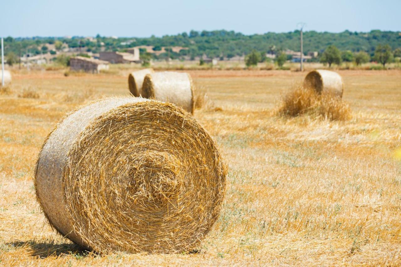 155 Finca Son Rossignol By Mallorca Charme Sineu  Dış mekan fotoğraf